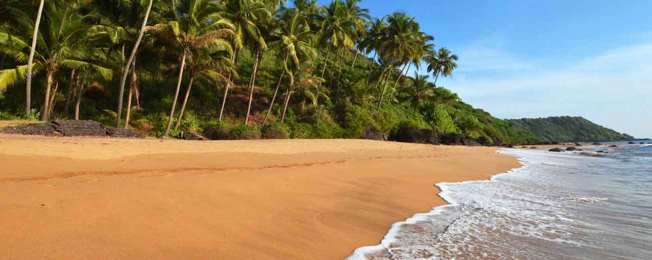 Goa Western India beach palm trees